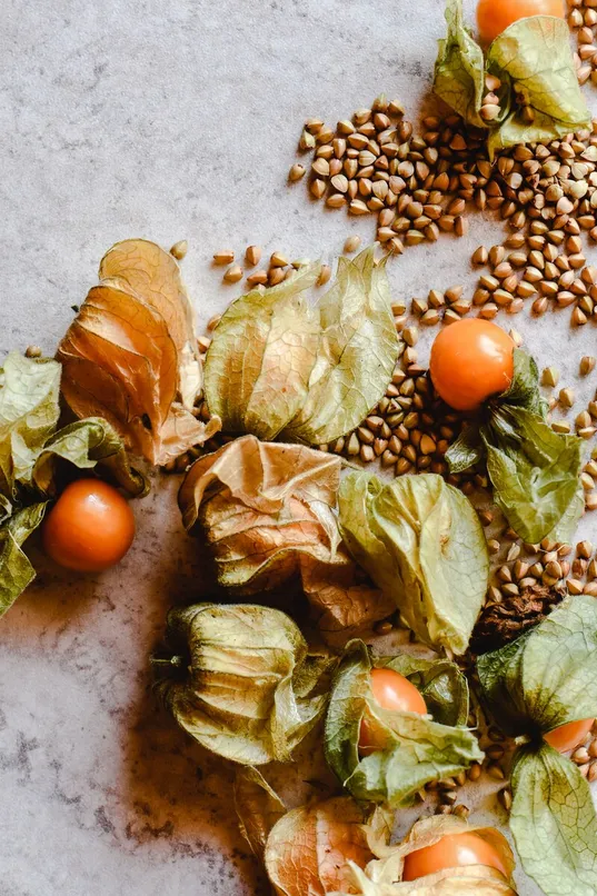 Ashwagandha root, the adaptogen supporting the stress pillar of RagnarOak