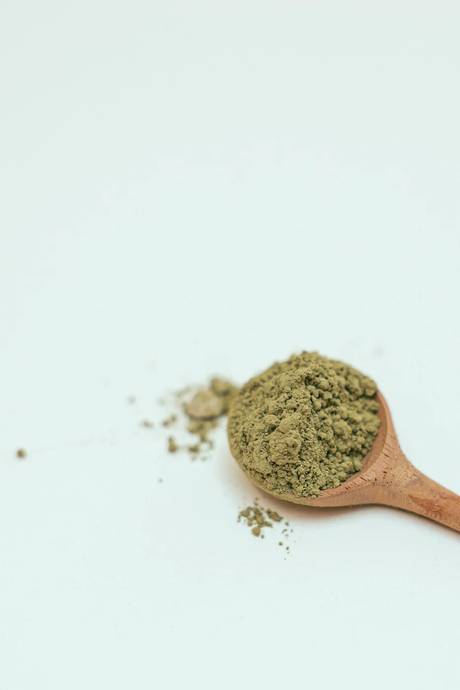 Green tea leaves, the catechin and caffeine source in RagnarOak gummies